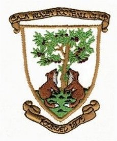 Hawks team to play Gala