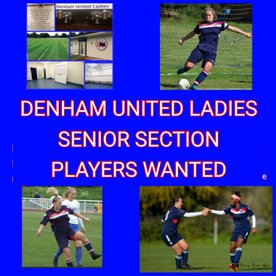 SENIOR PLAYERS WANTED
