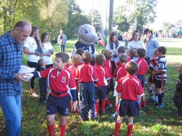 Too Tough for the Tigers