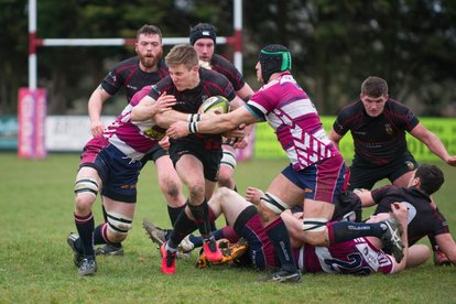 Shelford RFC 22 Colchester 1st XV 28
