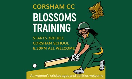 Women's softball cricket training from 3rd December
