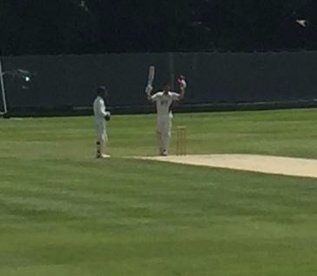 Week 11 Roundup - 30/50 Points