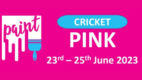 Paint Cricket Pink weekend