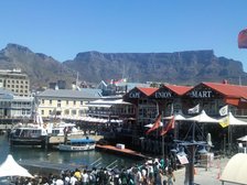 Lions Tests are Here!