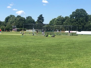 Mid Season Report Card and Restarting Cricket