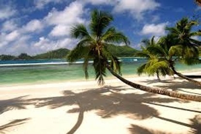 End of the U8s season