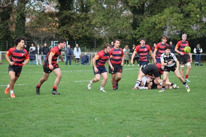 Colts fightback just falls short