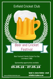 Beer and Cricket Festival