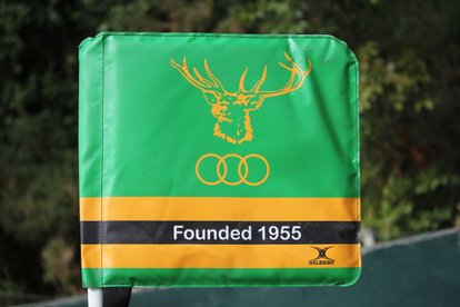 Small reward for 1XV endeavour