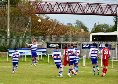 Leadership and Committee Update