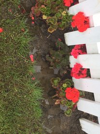 Sat 3rd XI v Royal Ascot CC - Saturday 4th XI