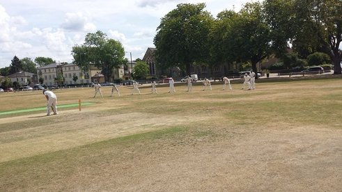 Cricket Week - Fixtures and Availability