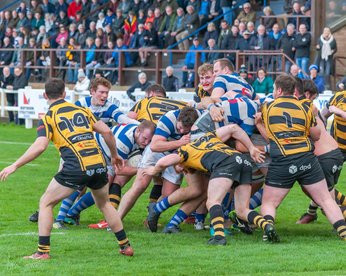Tynedale 24 v Hinckley 24