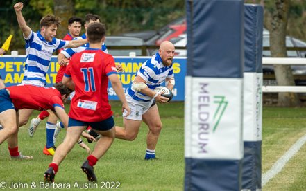 Tynedale 36 Sheffield 14