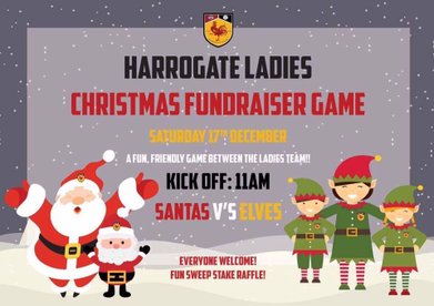 Harrogate Ladies have a hard battle at York RI