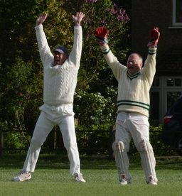 Player Behaviour trials