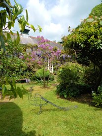 Jakes glorious garden.