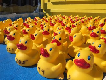 Alphington Youth Football Club | Annual Duck Race & Family Fun Day | Sunday 26th May