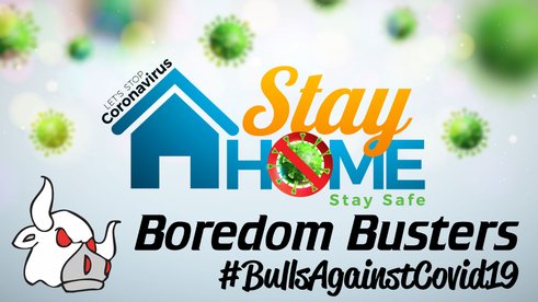 Stay Home Stay Safe Boredom Busters