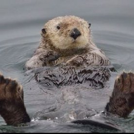 Seniors pre-season update