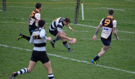 Rampant Farnham win relegation scrap.