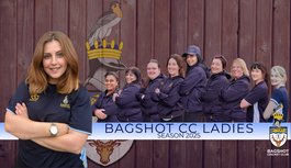 Ladies Cricket