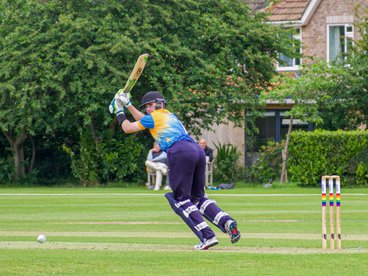 Llamas Lose Winning Streak