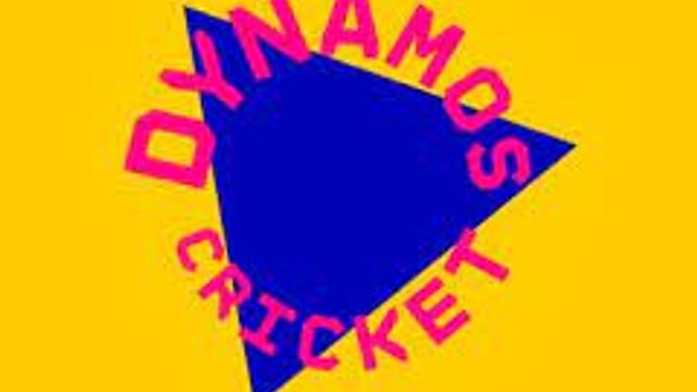 Dynamos Cricket (8-11yrs)