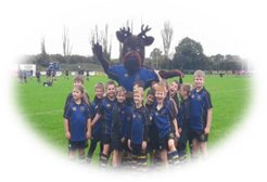 Join Our Minis Section