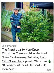 Club Member Offer - 10% off ,Christmas Trees at Hertford Saturday Market