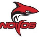 Under 16s (The Sharks)