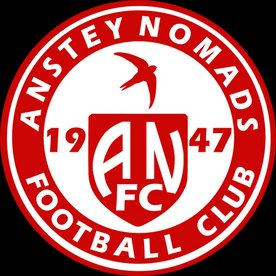 Narrow defeat at Anstey