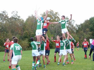 Colts Crush Cranleigh