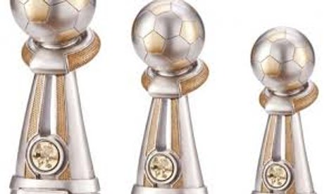 Medal presentations for Beeston FC players on June 23