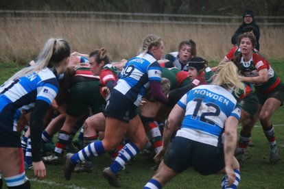 TEAM NEWS - DMP Sharks Development v Bristol Bears II