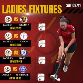 Ladies Fixtures 02/11