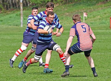 Vale Show County Their Talents