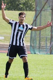 Gingerbreads Through!