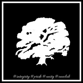 The Complexities of Captaincy