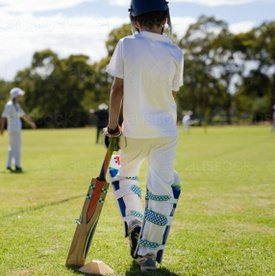 Junior Cricket 2025 Update