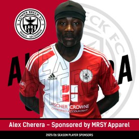 BRECK BLANK SPORTING IN EXCELLENT SHOWING