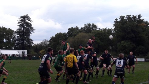 Good performance gets no reward