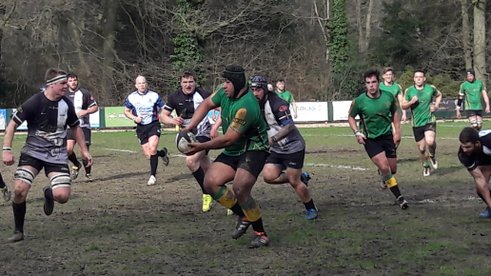 1XV dominance earns home win