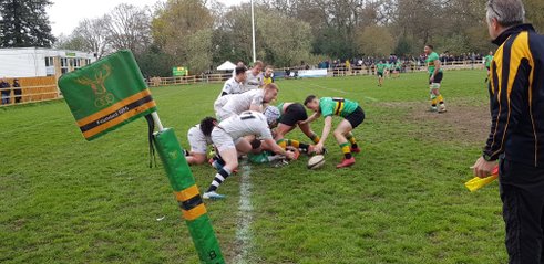 1XV finish the season in style