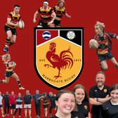 Why play rugby at Harrogate?