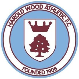 Gary Willis Appointed