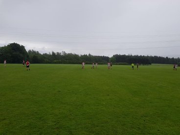 Wet & Wild in Belfast