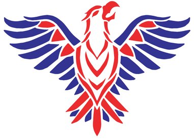 Upcoming Indoor Cricket League Matches – Get Ready!