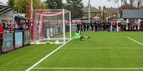 The Fish Enjoy A Day By The Seaside