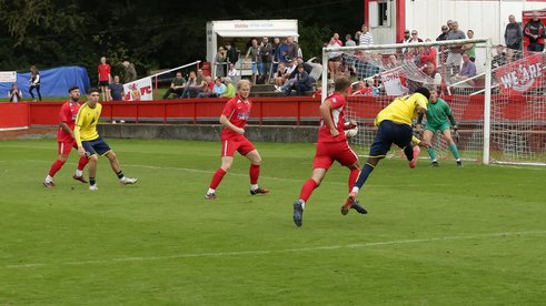 Oysters Well Beaten By Wells